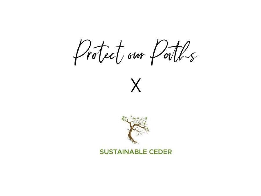 Sustainable Cedar in the Cederberg